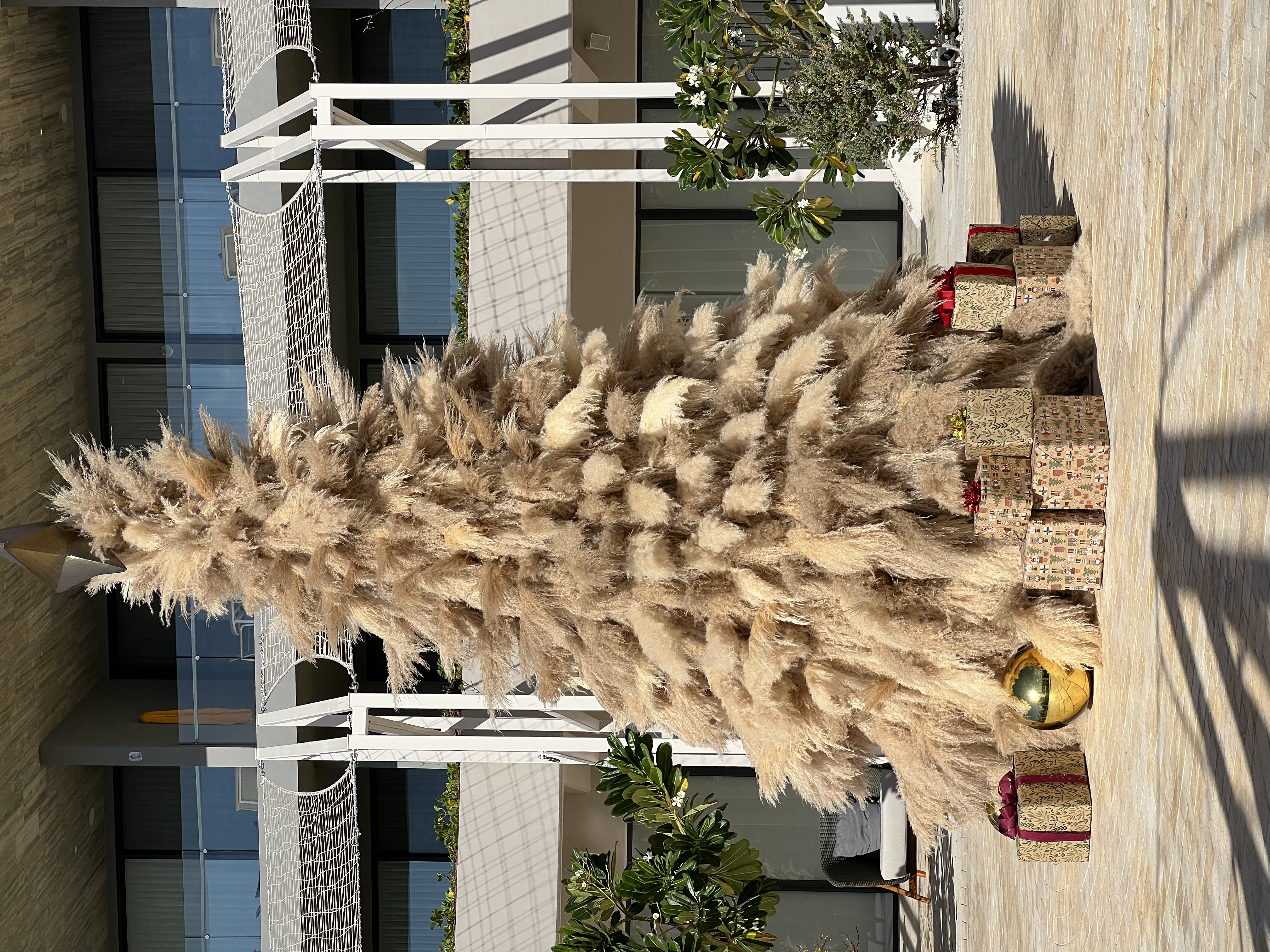 ./2024/13 - Cabo/IMG_4225.jpg